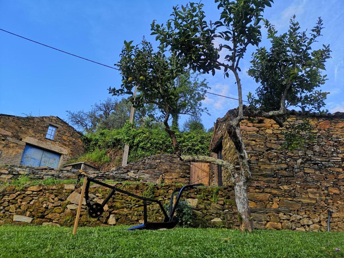 Holiday home Cantinho Do Prestimo Agueda
