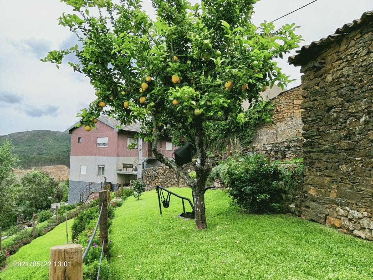Holiday home Cantinho Do Prestimo Agueda